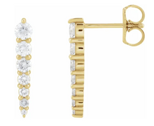 Load image into Gallery viewer, Natural Diamond Graduated Bar Earring